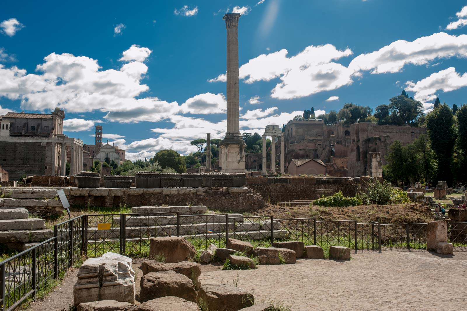 Discover Ancient Rome: Colosseum Tour, Roman Forum and Palatine Hill.