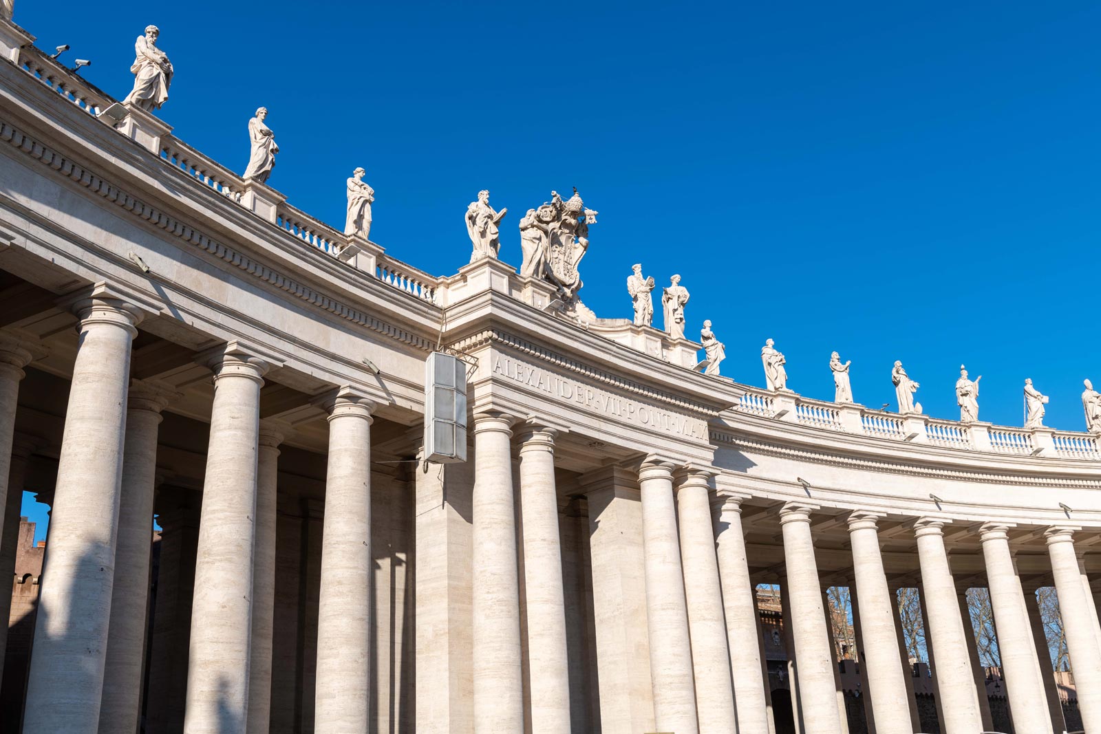 Papal Audience Experience with Pope Francis at the Vatican with guided visit