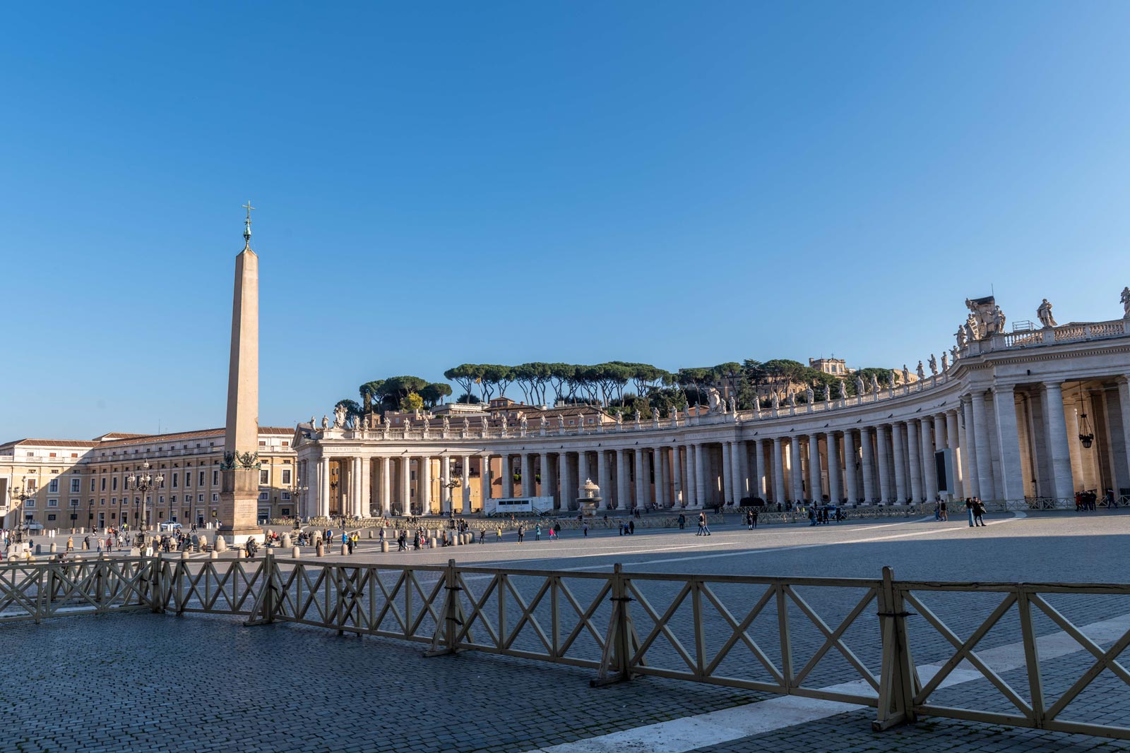 Papal Audience Experience with Pope Francis at the Vatican with guided visit