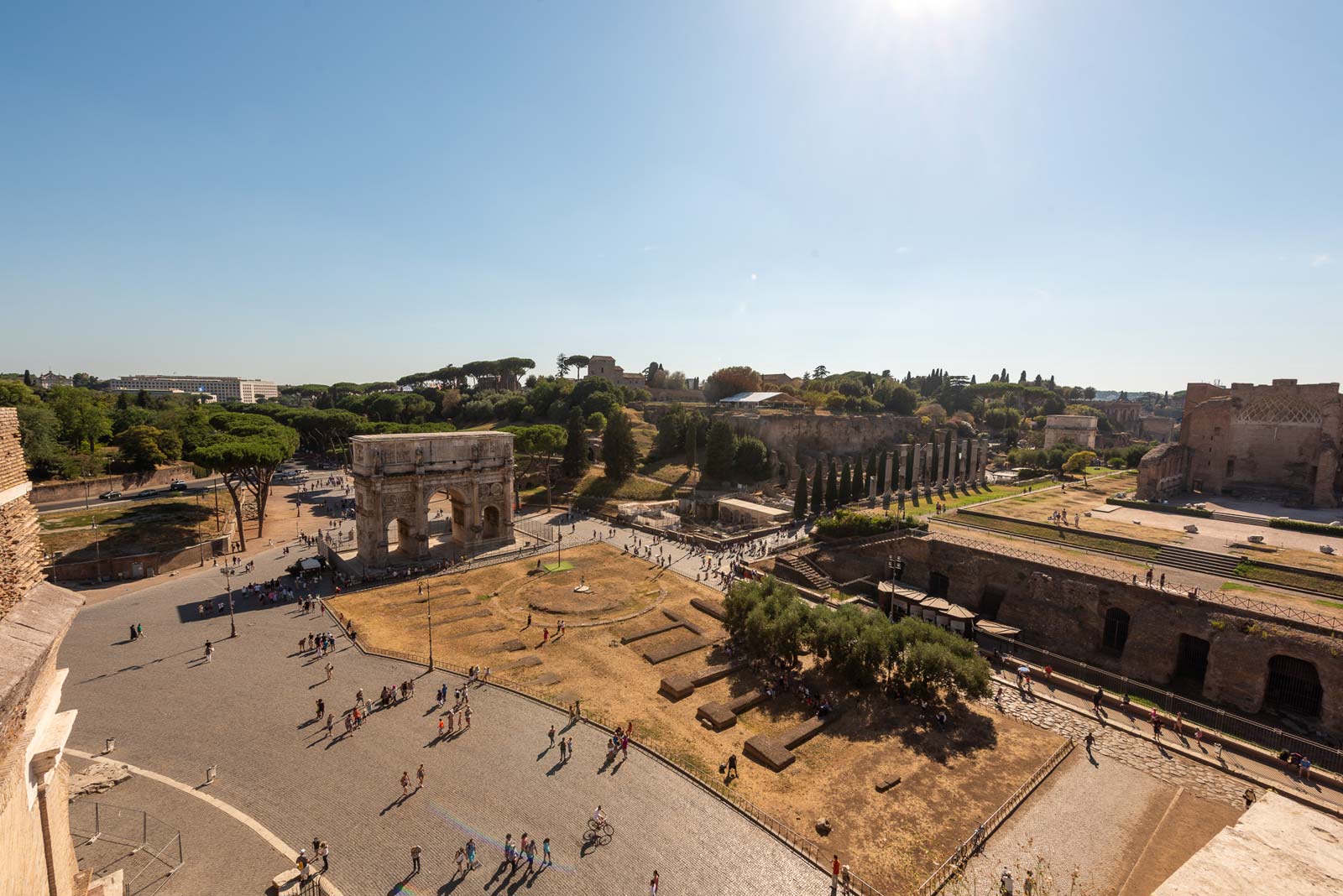 Discover Ancient Rome: Colosseum Tour, Roman Forum and Palatine Hill.