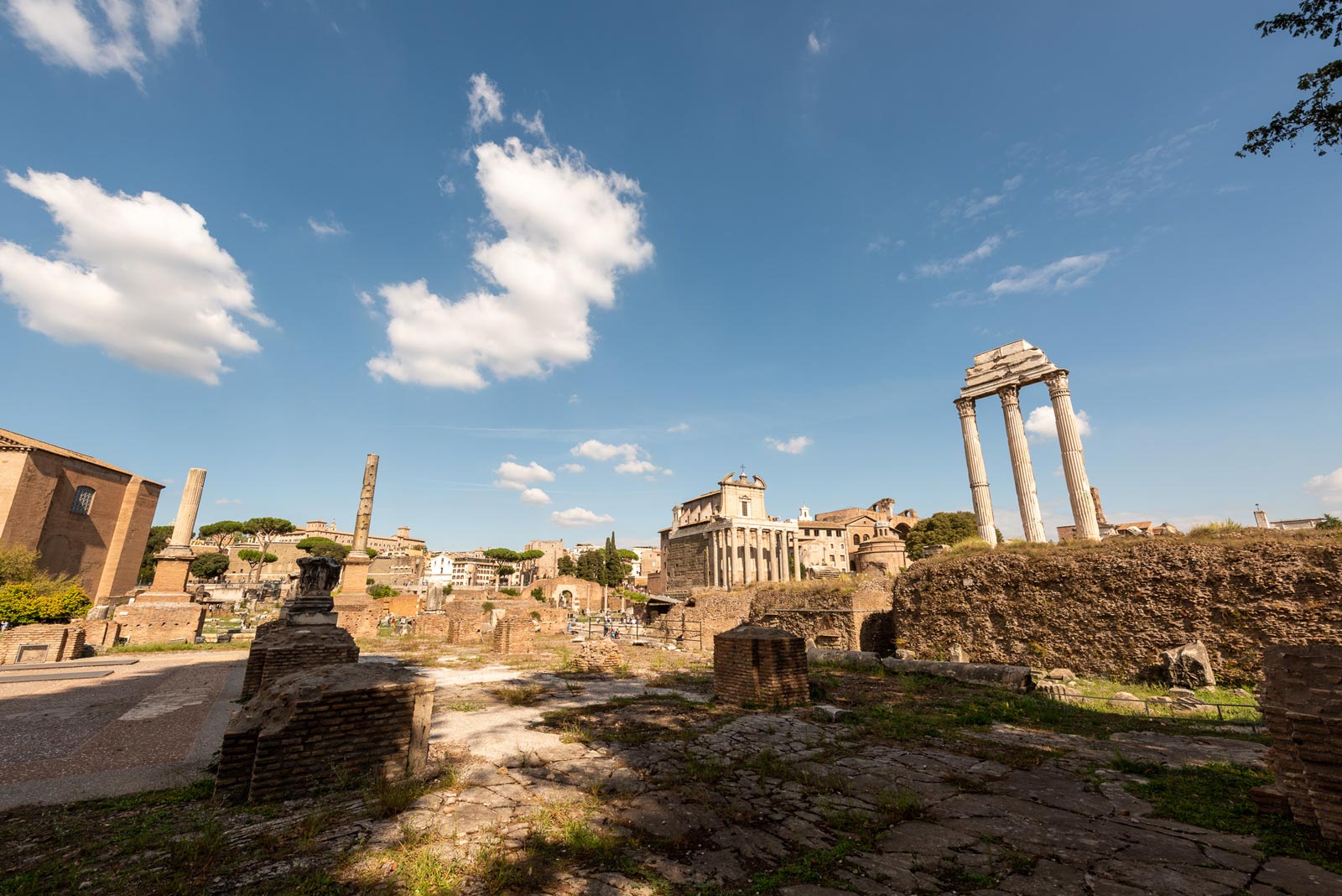 Private Colosseum Tour, Roman Forum and Palatine Hill